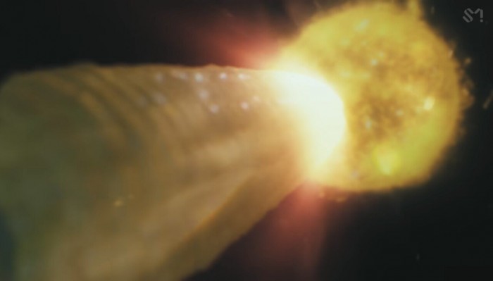 민초괴물과 싸우다 이제는 옥수수 키우는 에스파