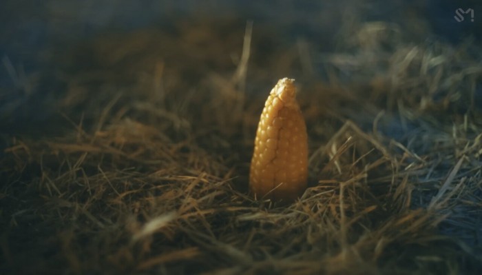 민초괴물과 싸우다 이제는 옥수수 키우는 에스파