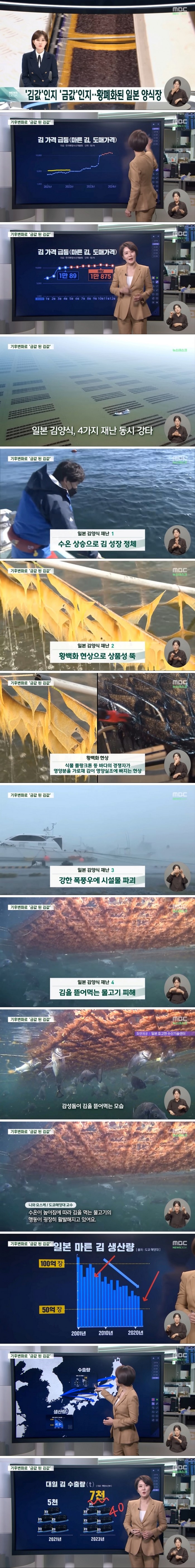 기후변화로 금값이 된 김값 대일 김 수출량 급증