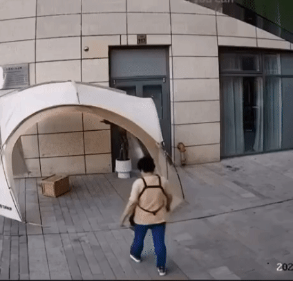 도심 속에서 요트타기.gif