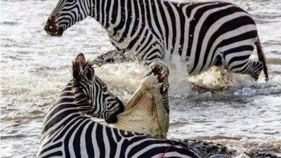 자연다큐멘터리 촬영 종료 후