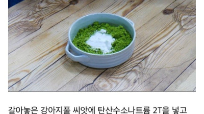 강아지풀로 라면 만들기
