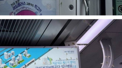 도심 덮친 날벌레