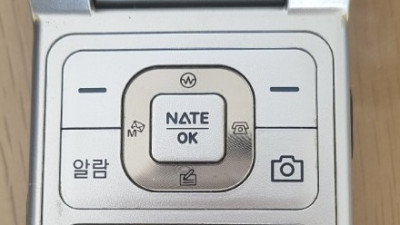 '스스로 불러온 재앙에 짓눌려'를 한 칸으로 표현하시오.