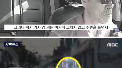 택시 기사의 촉, 그리고 택시 기사의 반전