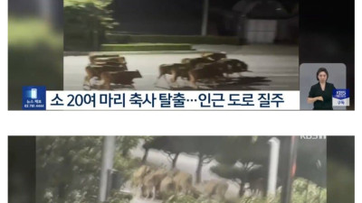 와츄고나두 in 김천