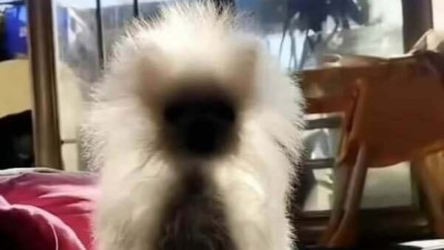 햇빛에 드러난 몸매.jpg