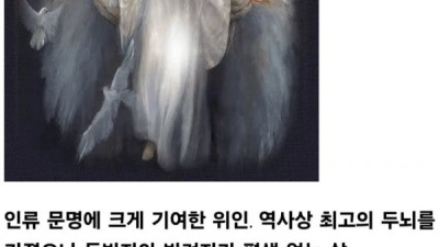 외로운 천재의 삶 vs 모든이에게 사랑받는 삶