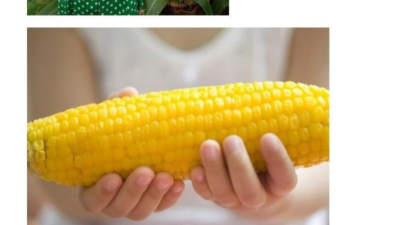 의외로 사람들이 좋아하는 냄새