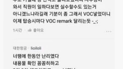 올라올 때마다 각자가 각자의 입장에서 몰입하는 '대한항공 VOC' 사건