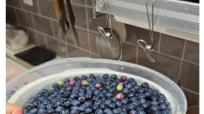 유턴주의! 욕설주의!