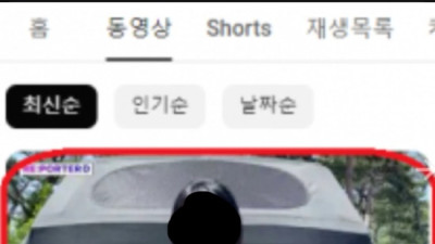 부산 모터쇼 신차 공개와 함께 후끈해진 르노 코리아