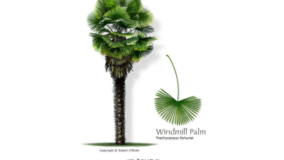 사실 오역인데 일부러 안고치는 번역