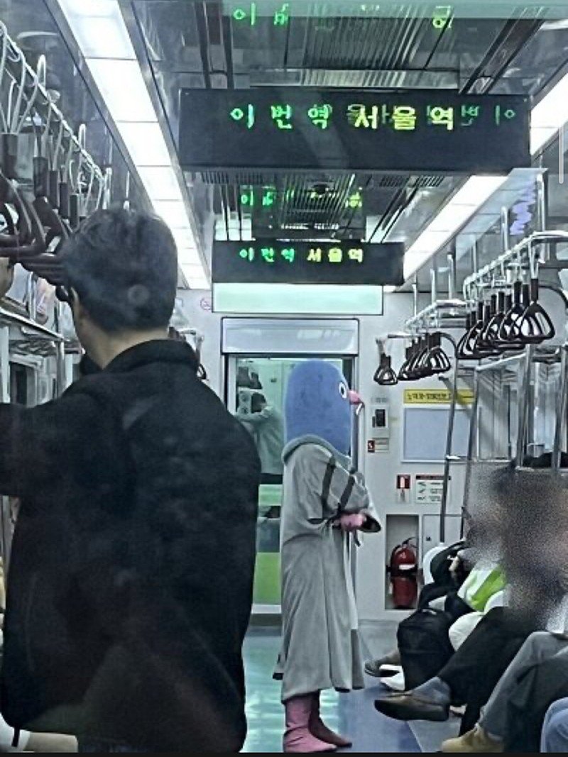 서울 1호선 비둘기 나타남