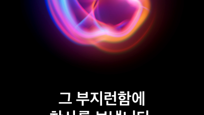 애플 공홈 현황