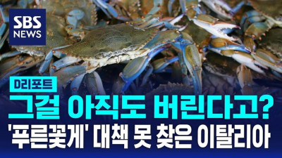 이탈리아 요리가 맛알못인 이유