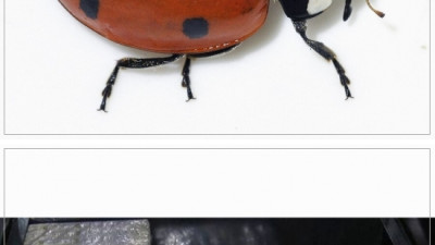 하찮은 초능력 vs 미화 1000만 달러