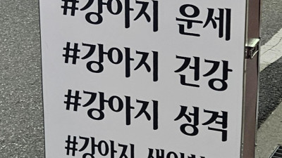 애견산업의 새로운 판로