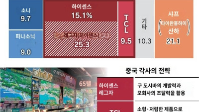 일본 TV 시장 근황