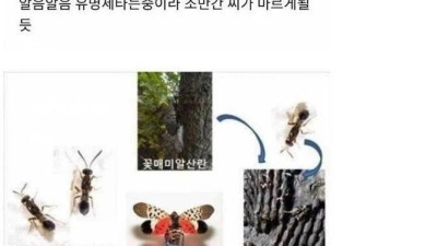 한국 생태계를 다 파괴시킨다던 외래종들의 결말