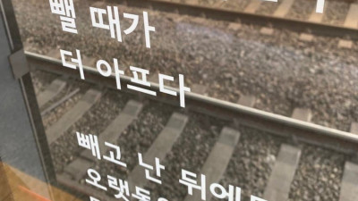 '꼬추를 뜻하는 것일까나...' https://pgr21.com/humor/508215