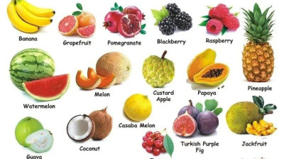 평생 과일 세가지가 공짜라면?