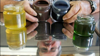 푸른 색과 초록색의 벌꿀