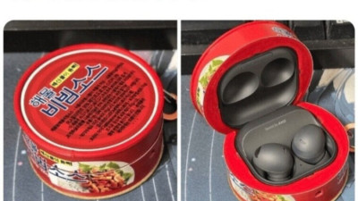 도난방지 스킨(확률 50%?)