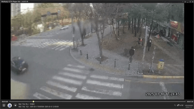 횡단보도에서 볼건 신호등뿐이 아니다