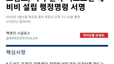 미국, 비트코인 전략적 자산으로 비축. 미국이 사모으면 떡상 가냐???