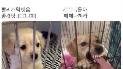 야구 시범경기 흥행에 따른 부작용