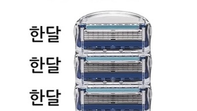 면도기 면도날 교체 유형