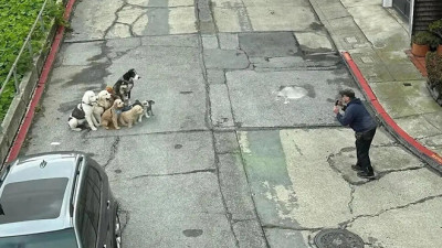 가이드 양반이 참 친절하네 사진도 찍어주고 말야