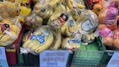 바나나 한송이 천원에 팝니다