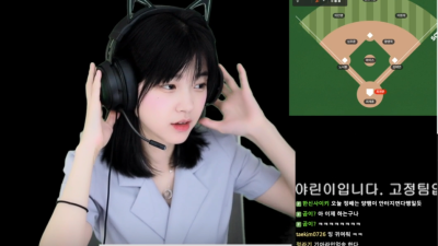 한화응원하면 오함마로 자기 머리 쳐달라던 스트리머 문월 근황