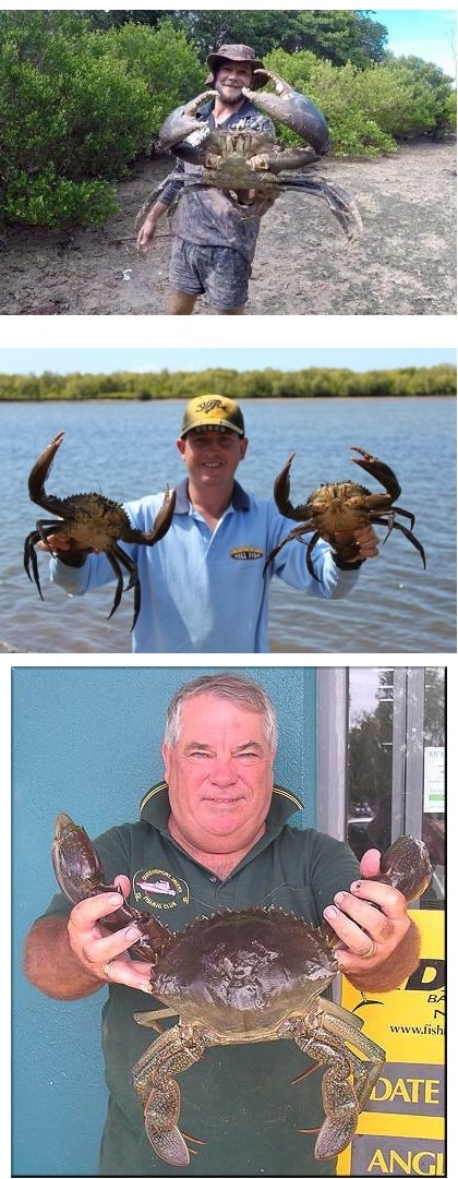 다른나라로 퍼지면 생태교란종 이던 외래종