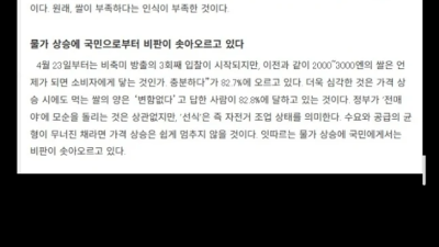 일본 농림수산부 장관 “쌀 대란은 국민 탓”