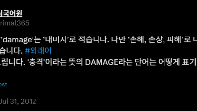 국립국어원의 공식 표기 지침이 있음에도 불구하고 잘 지켜지지 않는 외국어