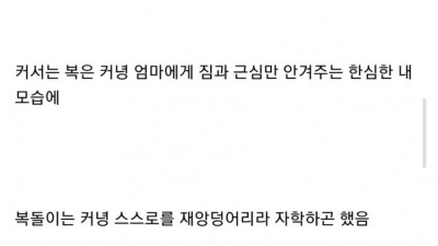 (감성주의) 복돌이 디시인