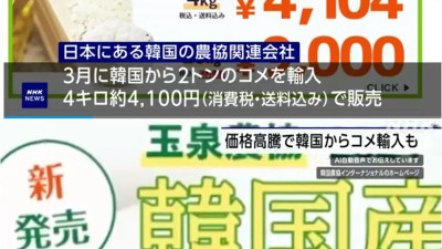 일본으로 수출된 한국산 쌀 근황