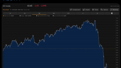 트럼프는 관세를 철회한다!!