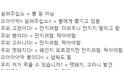 용사님들의 언어 해석