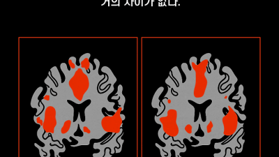 주식 단타꾼들에 대한 무서운 사실