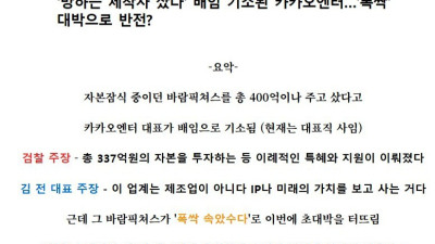 실패하면 배임, 성공하면 투자 아닙니까!