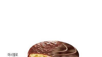 세기의 라이벌 몽쉘과 초코파이 근황