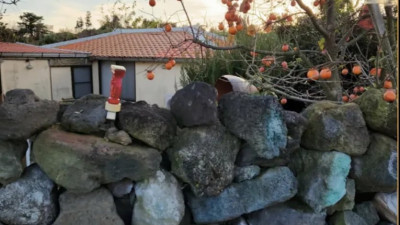 요즘 시골 인심 수준